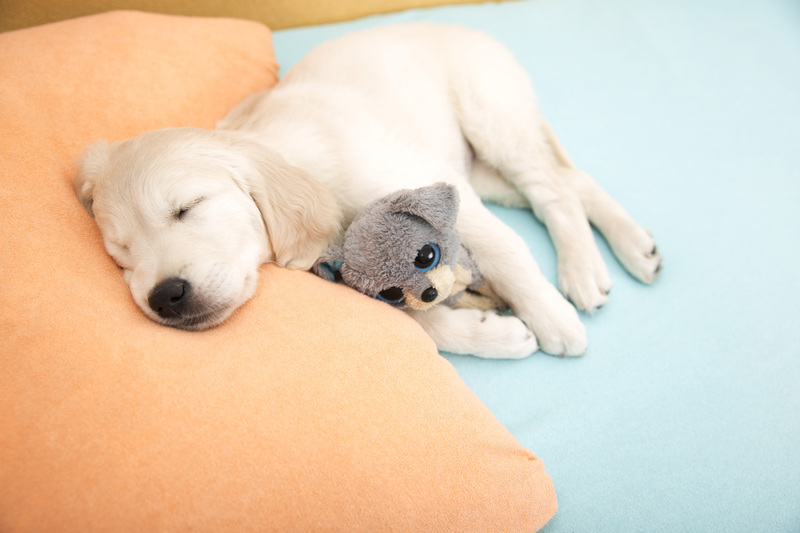 Revitalize Your Home with Trusted Hoarder Clean Up and Professional Decluttering